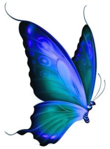 A blue butterfly with green wings and tail.